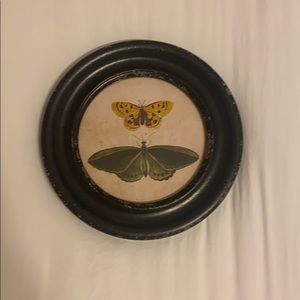 9.5x9.5 in shabby chic butterfly art